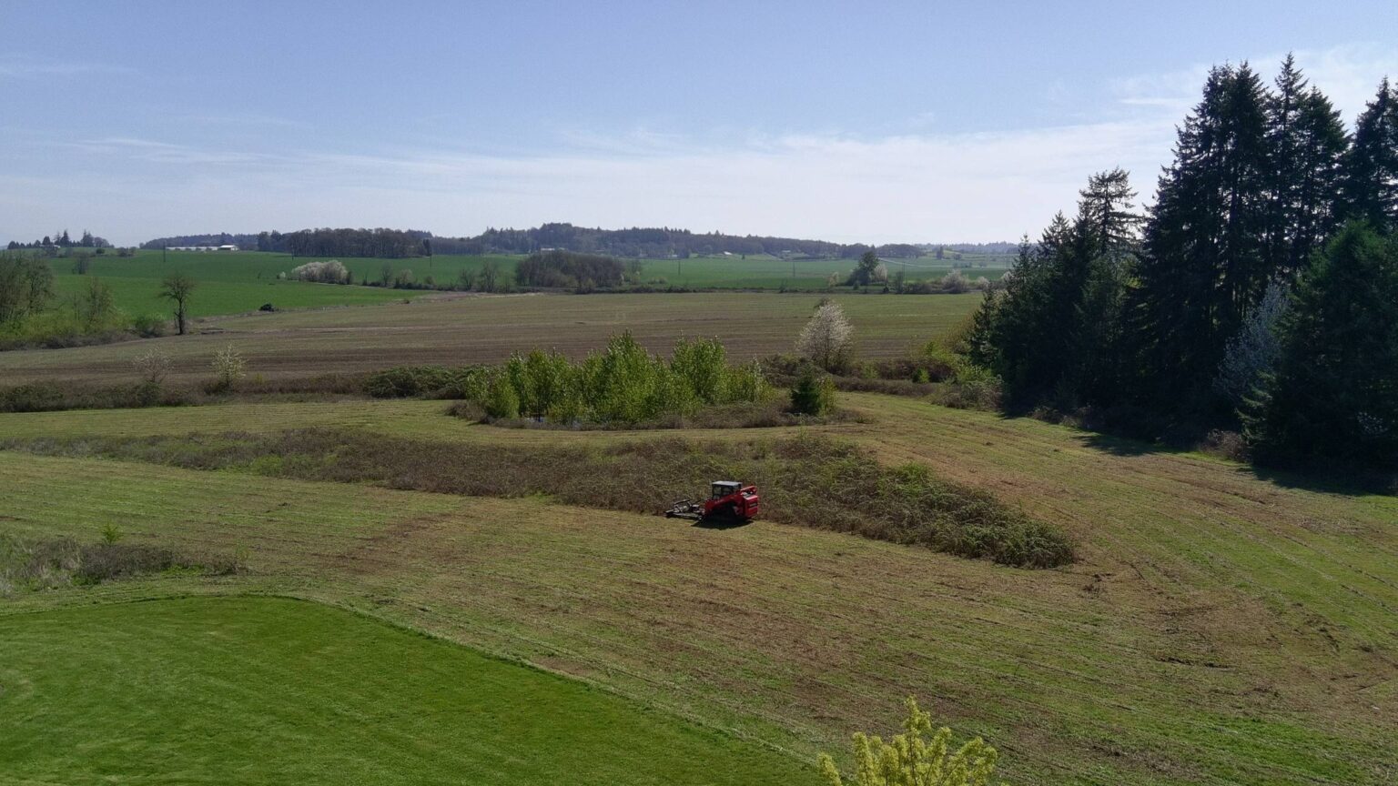 Field mowing and pasture mowing in Corvallis, Albany, Lebanon, and surrounding Oregon areas