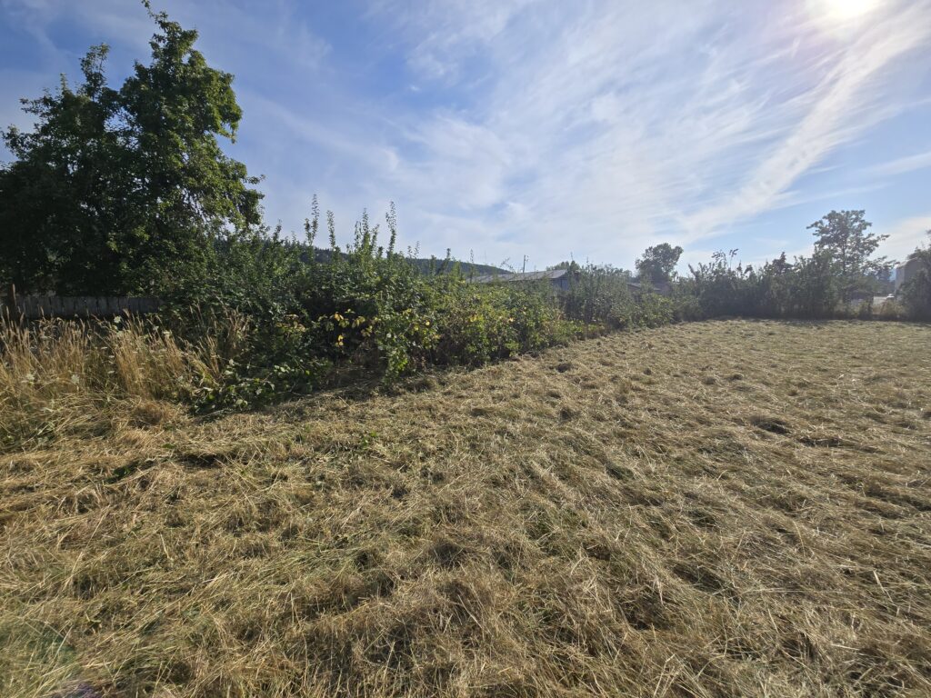 leaned and maintained fence line after brush removal Lebanon OR