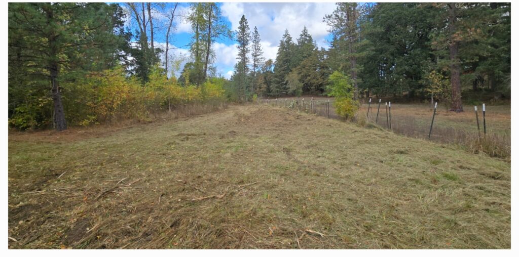 Fence line brush clearing with skid steer Lebanon OR