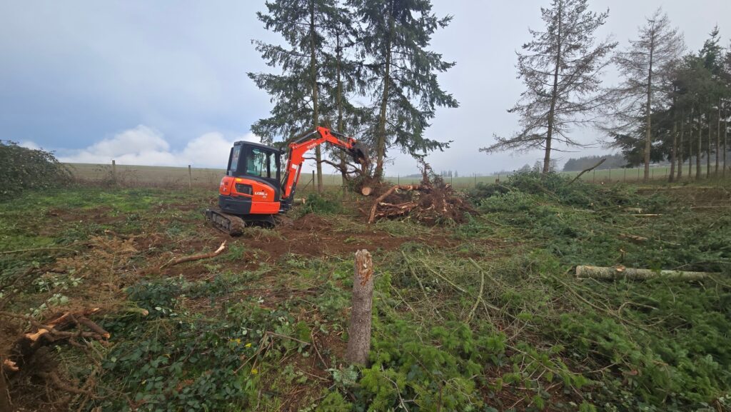 Land Clearing and tree removal in Scio Oregon Wesley's tractor Service