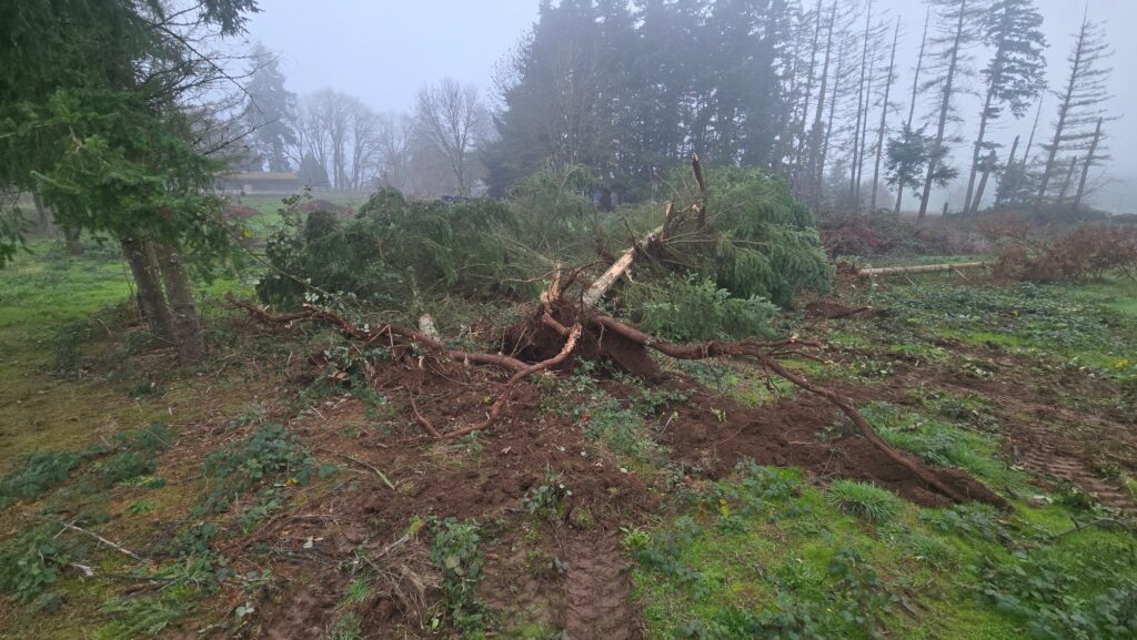 Land Clearing Lebanon Oregon Wesley's tractor Service and Excavation