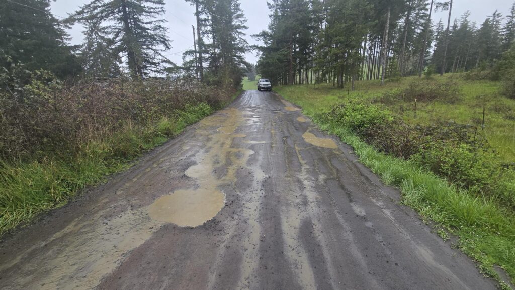driveway drainage issues Lebanon OR