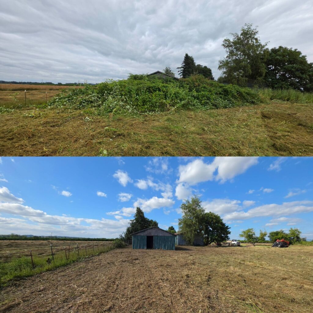 Brush Clearing in Scio oregon
